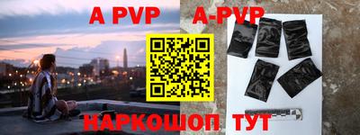гашик Новозыбков