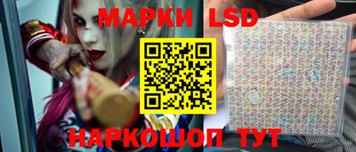 гашик Новозыбков