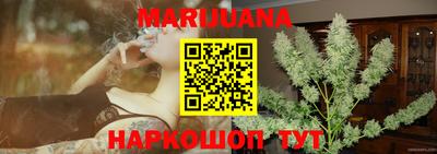 гашик Новозыбков