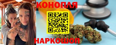 ешки Новодвинск