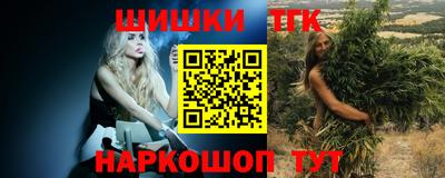 гашик Новозыбков