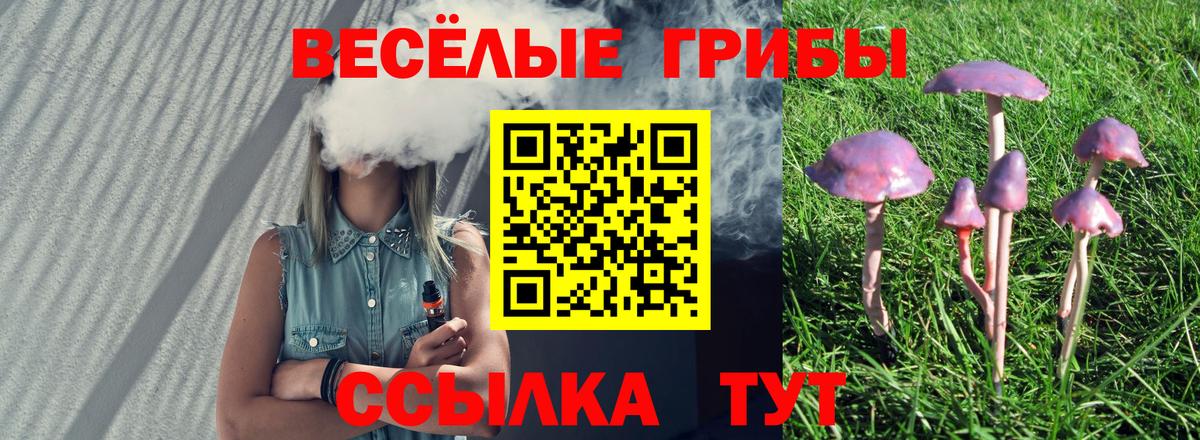 Славянск-на-Кубани  Галлюциногенные грибы ЛСД  Вход с VPN  Галлюциногенные грибы MAGIC MUSHROOMS 